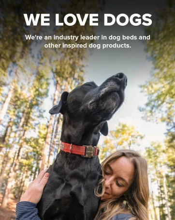 orvis dogs
