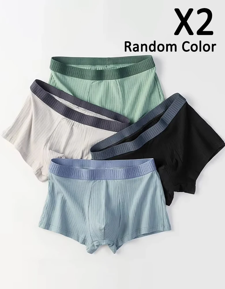 2PCS Random Men's Cotton Panties Underwears Boxers Men Underpants Cotton Thermal for Man Breath Able Homme Sexy Soft Male Short