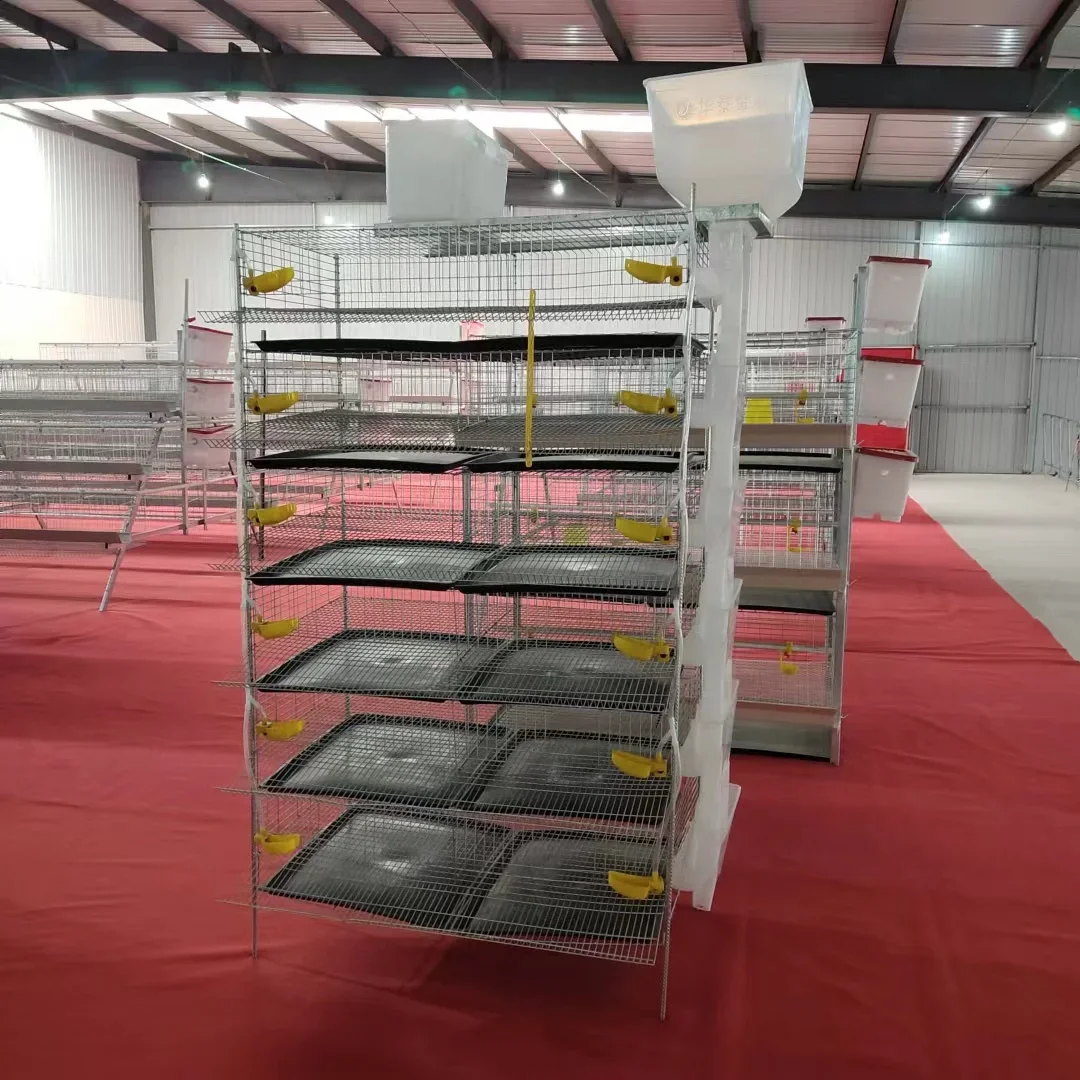 Vertical Quail Cage 300-400 Quail Capacity Encrypted Galvanised Ladder Type Brooder Cage Automatic Feeding Egg Collector