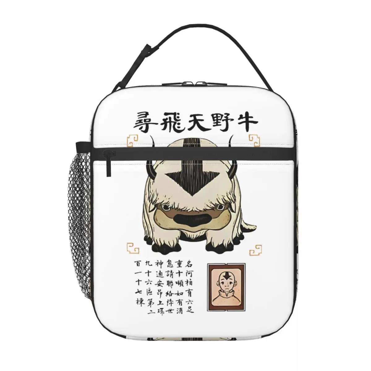 Appa Avatar The Last Airbender Isolados Térmicos Lunch Bags para Trabalho, Recipiente De Alimento Portátil, Caixa Térmica Do Refrigerador