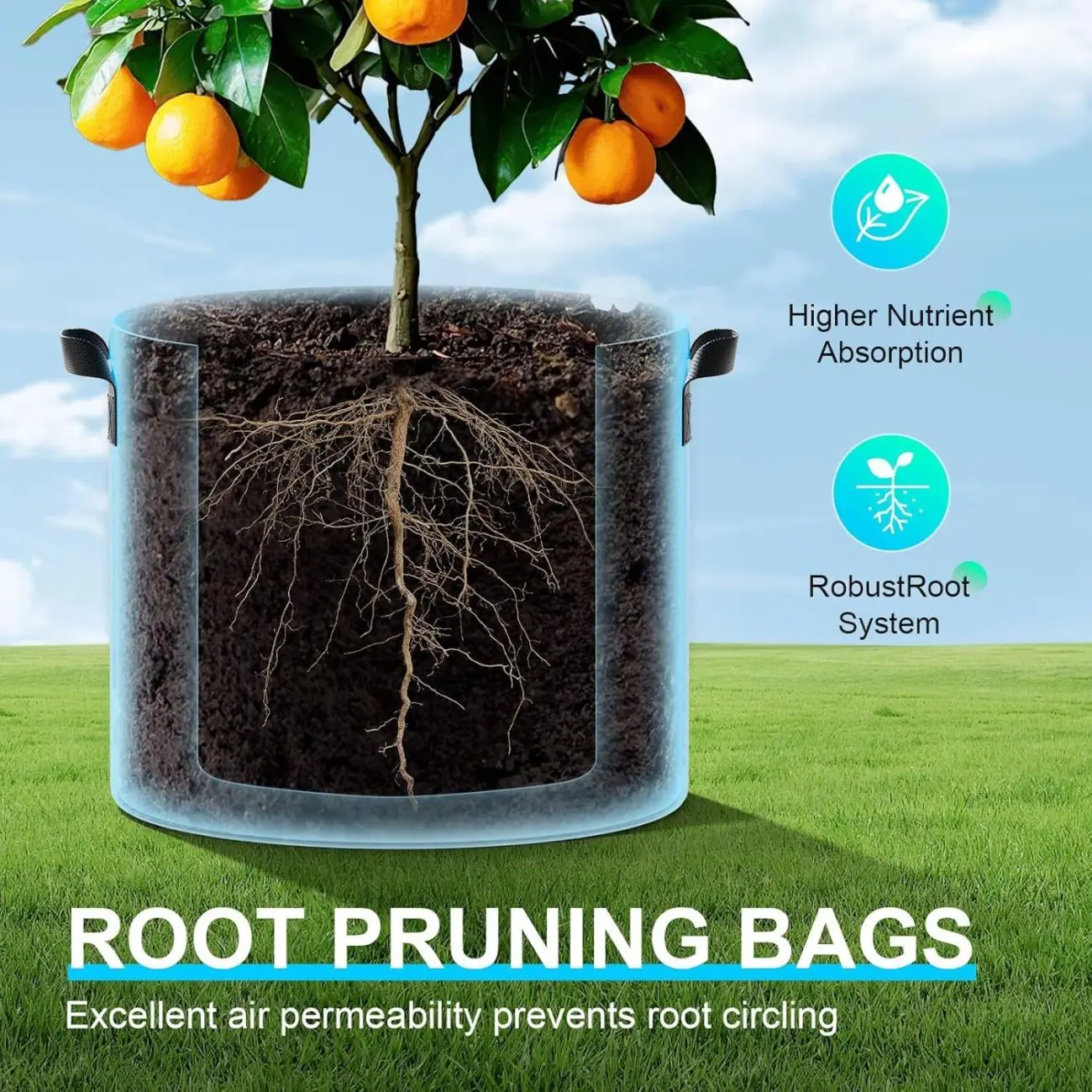 5-Pack 7 Gallon Plant Grow Bags Fabric Pots with Handles, 260G Fabric, Excellent Drainage, Healthy Root Growth