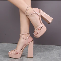 Designer Platform Ultra High Heels Women Sandals Sexy Fashion Open Toe Buckle Strap Catwalk Nightclub Stripper Shoes