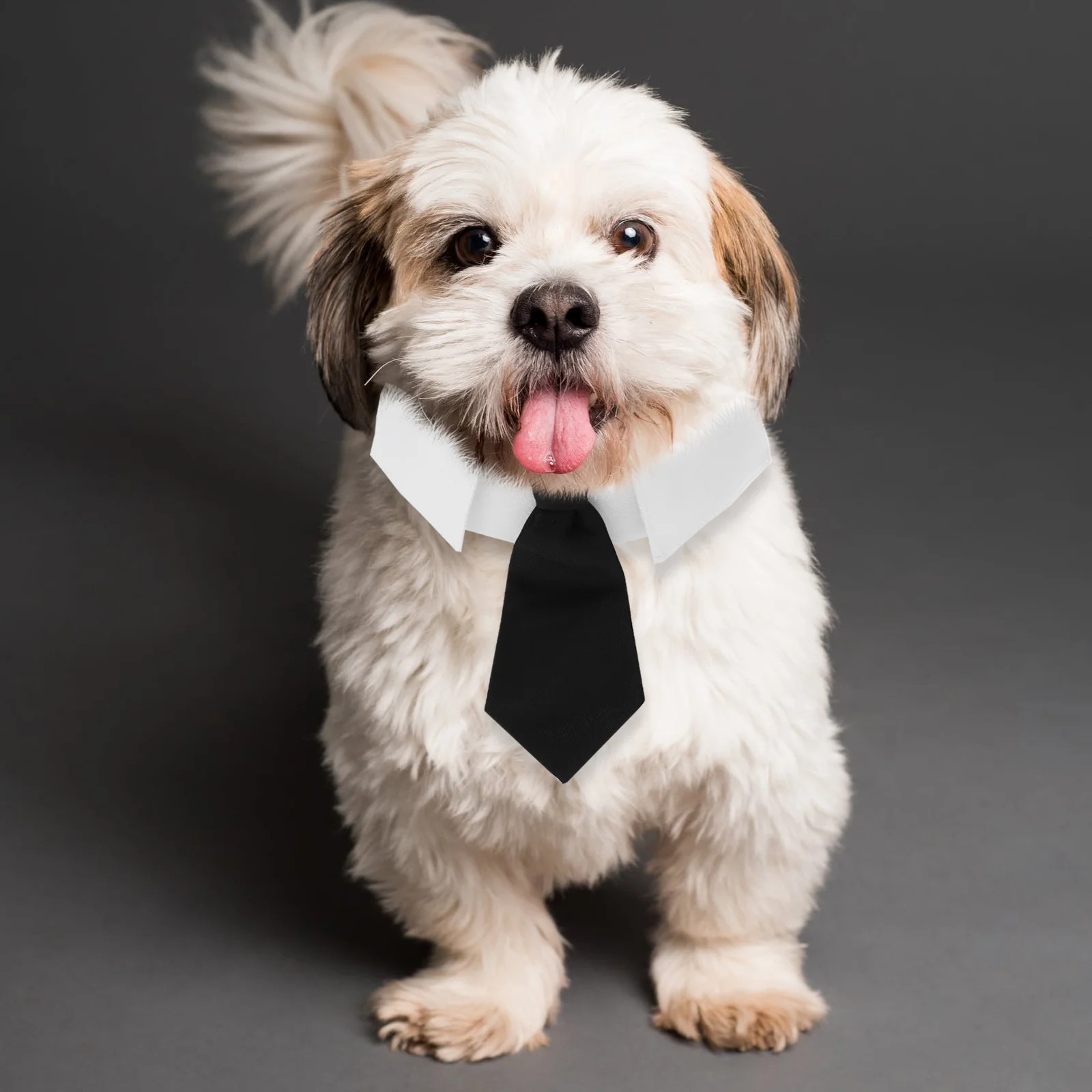 

British Style Pet Tie Adjustable Collar Dog Neck Tie Party Festival Holiday Dress Up Necktie Pet Necktie Adjustable Dog Cat Ties