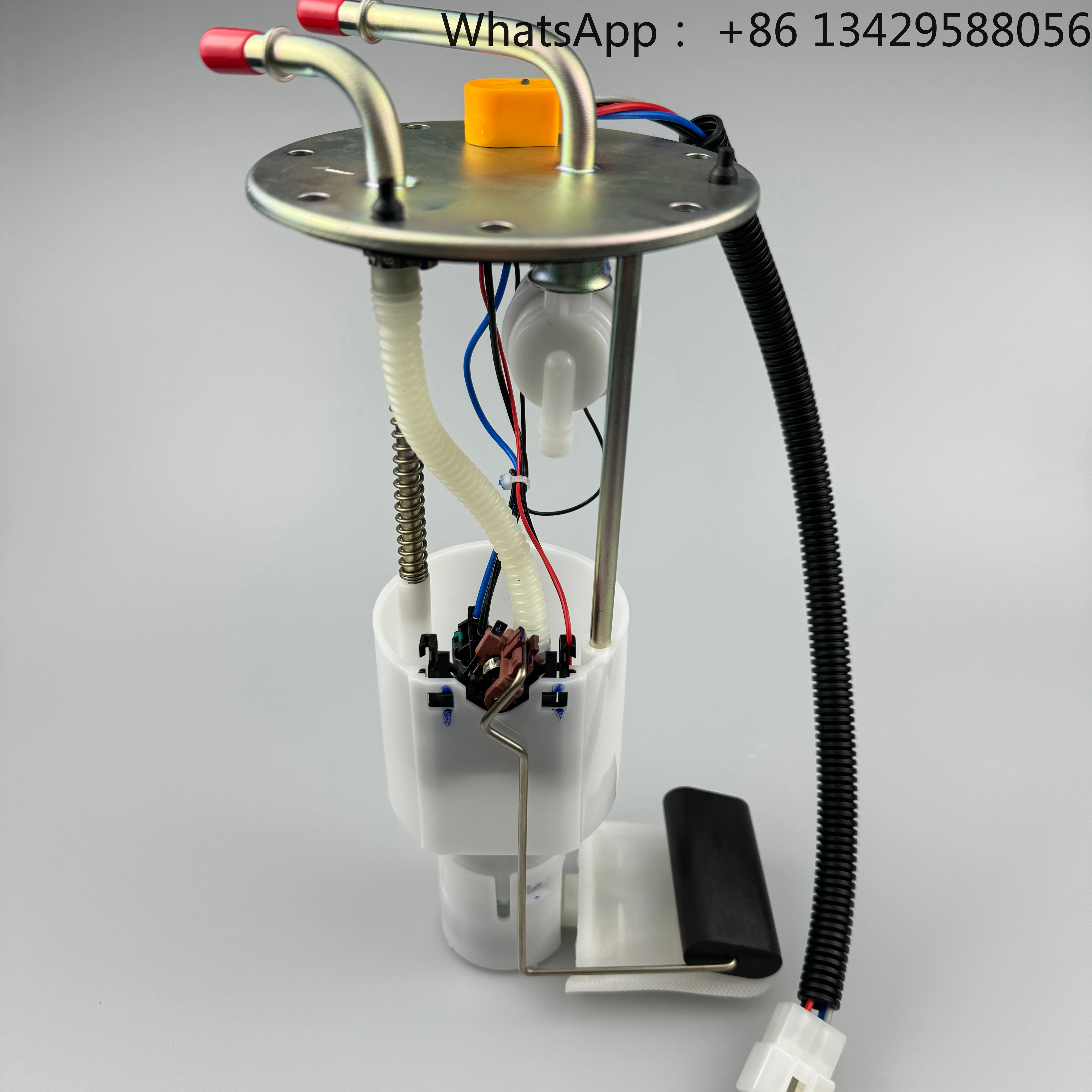 

11060100-A01-000 Fuel Pump Assembly for Baic Weiwang 205/206 Car Fuel Pumps
