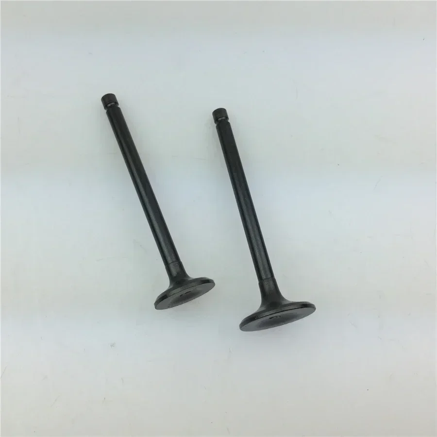 For Qianjiang 250 motorcycle / QJ250-3A // earth eagle king motorcycle into the exhaust valve universal