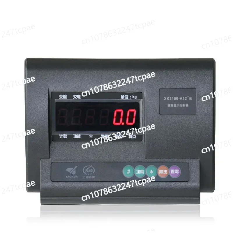 Professional Brand Balance Electronic Digital Weighing 500Kg Industrial Platform Scale