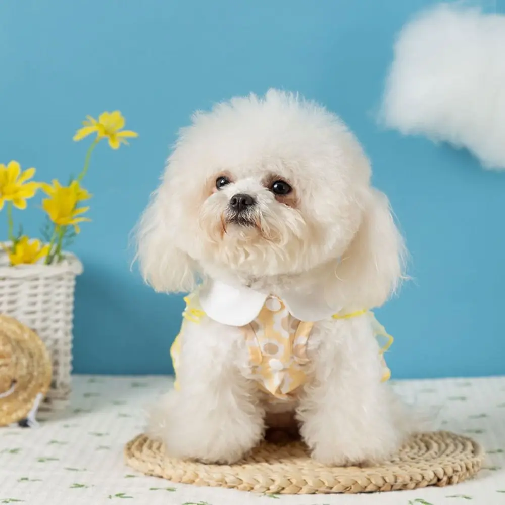 Fashion Soft Dogs Princess Dress Breathable Lace Sweet Cat Dress Comfortable Dog Sunflower Dress for Spring/Summer