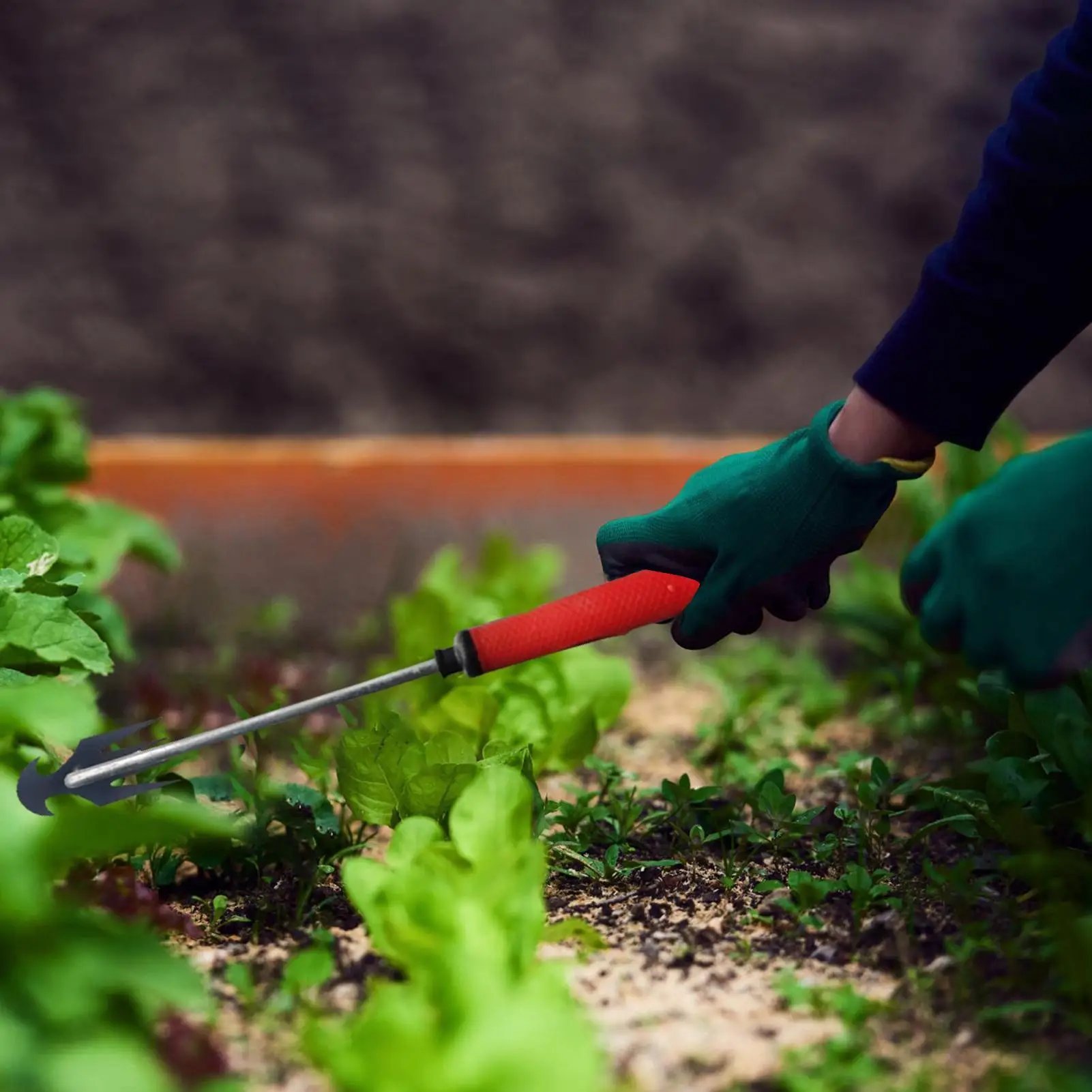 

4-зубчатая марганцевая сталь для садоводства, заднего двора, фермы, сада, инструмент для вытягивания сорняков, марганцевая сталь, рыхление почвы, копание почвы, садовая рука