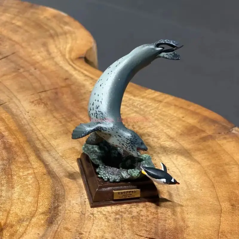 IKIMON tueur baleines Collection figurine jouet japonais véritable Gacha échelle modèle antarctique continent Codex vie chroniques