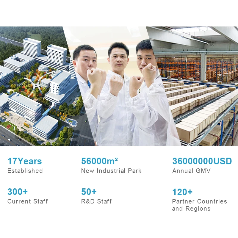 أداة علاجية LED سوداء محمولة للقطط والكلاب، تصميم كلاسيكي منخفض المستوى مع خصائص التطهير