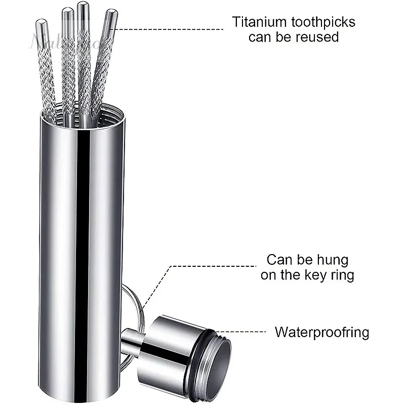 Stainless Steel Toothpick Set Portable Pocket Pick Kit with Keychain Reusable Floss Metal Cleaning Holder