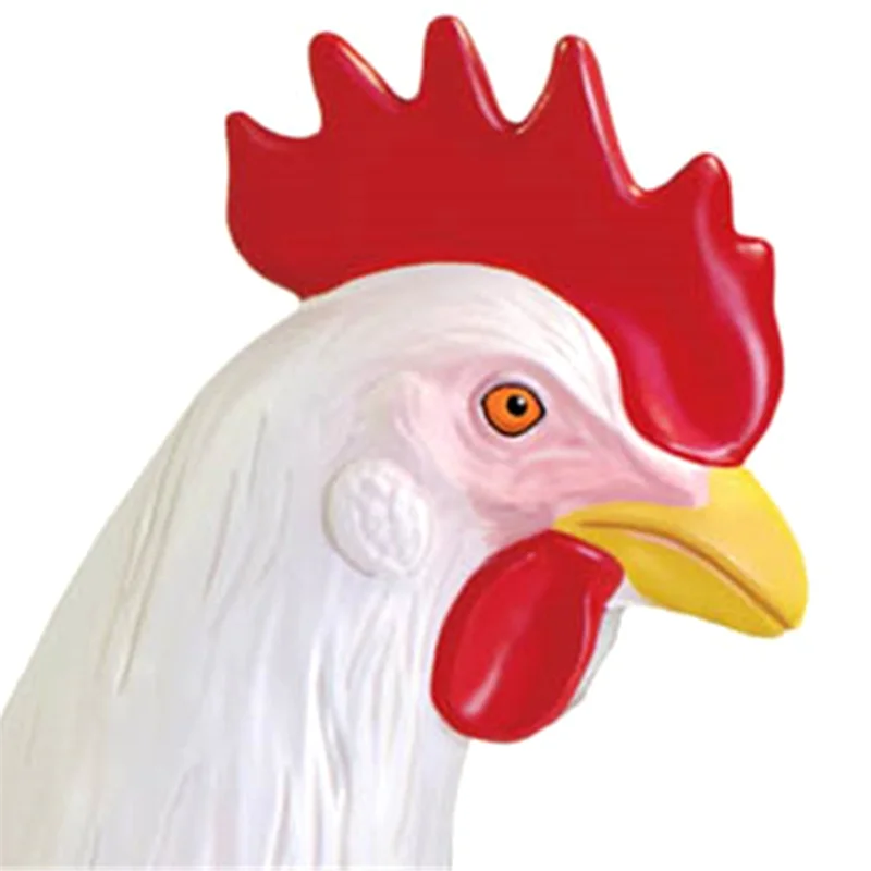 

AED5-Red And White Chicken 4D Master Puzzle Assembling Toy Animal Biology Organ Anatomical Teaching Model Anatomy