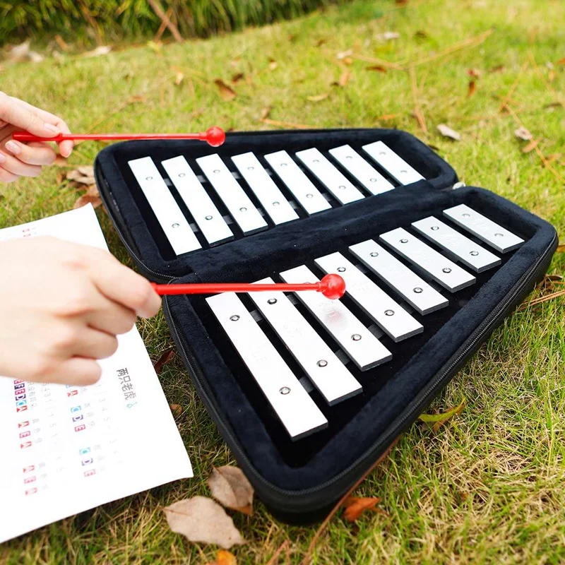 Carillon a doppia fila 16 toni, invia spartiti, strumento musicale portatile per la prima educazione dei bambini