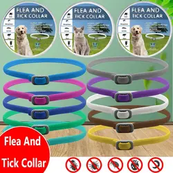 Flea And Tick Collar Adjustable Dogs Cats Necklace 8 Month Protection Anti-mosquitoes Insect Repellent Pet Supplies