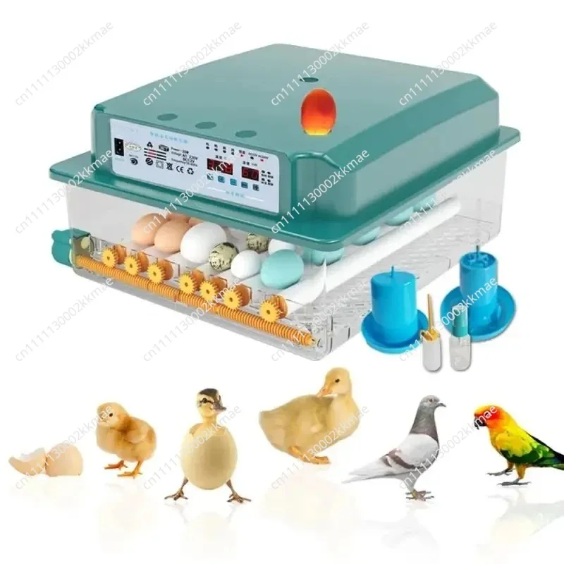Small Home Incubator Fully Automatic Smart Egg Hatcher for Chicks and Quail, Chicken Egg Hatching Machine and Cabinet