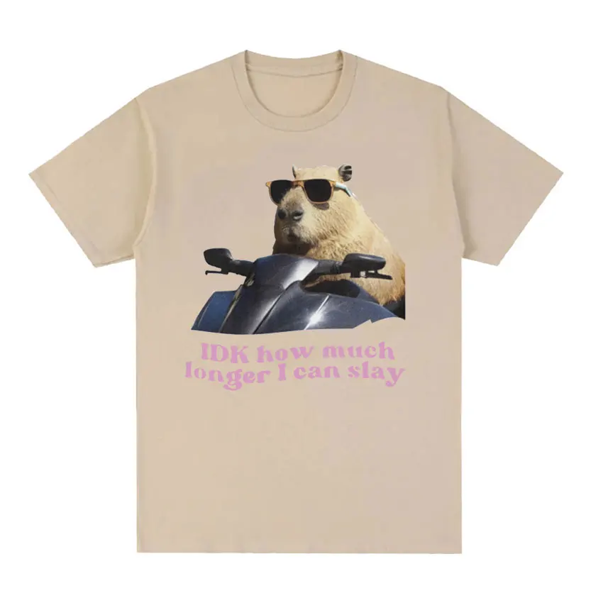 IDK How Much Longer I Can Slay Capybara Funny Meme T Shirts Men Women Retro O-Neck Fashion T-shirt Casual Cotton Oversized Tees