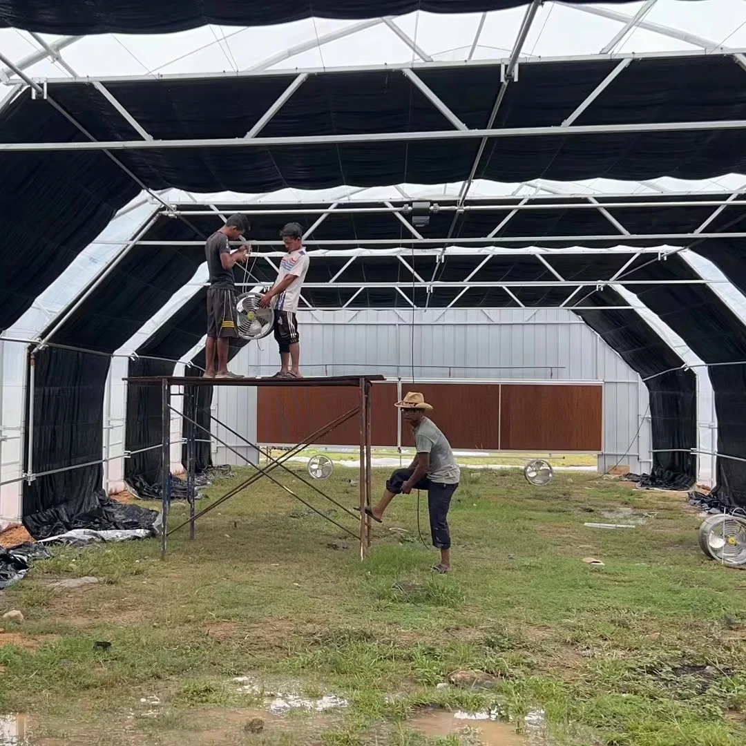 

Customized greenhouseSingle Tunnel Span with Light Deprivation System Greenhouse with Low Cost Price