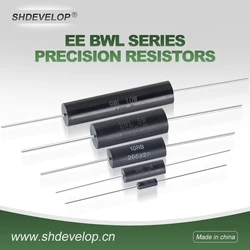 1Pcs Ee 0.25W0.5W1W2W High Precision Resistor 1R-10M Ohm 0.1% Low Temperature Coefficient Low Inductance Sampling Resistor