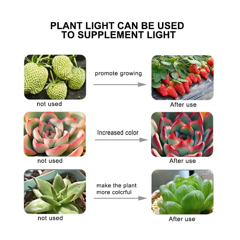 Full Spectrum Plant Grow Light, Phyto Lamps, Growing Bulb for Greenhouse Hydroponics Growth, E27, 60LEDs, 220V