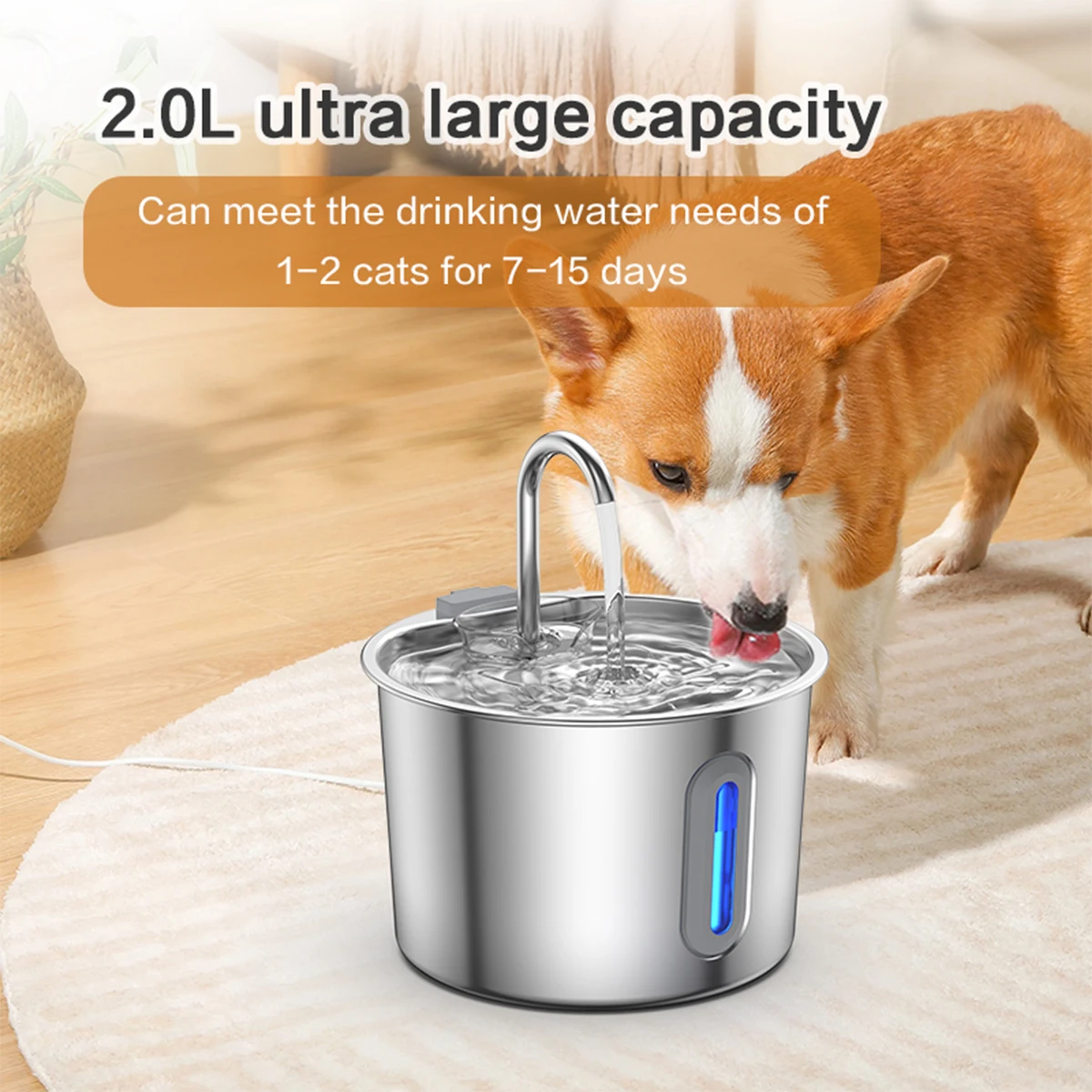 Fontanna dla zwierząt ze stali – Pet Water Fountain recenzja i cena