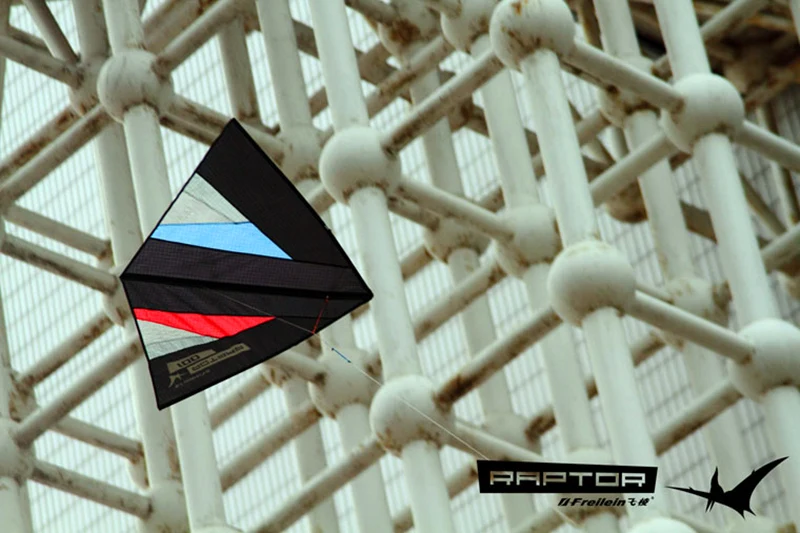 Freilein Kite aquiloni a linea singola per adulti aquiloni volanti aquiloni interni in bilico aquila aquilone volantin pipa voadora 	 cometa gigante