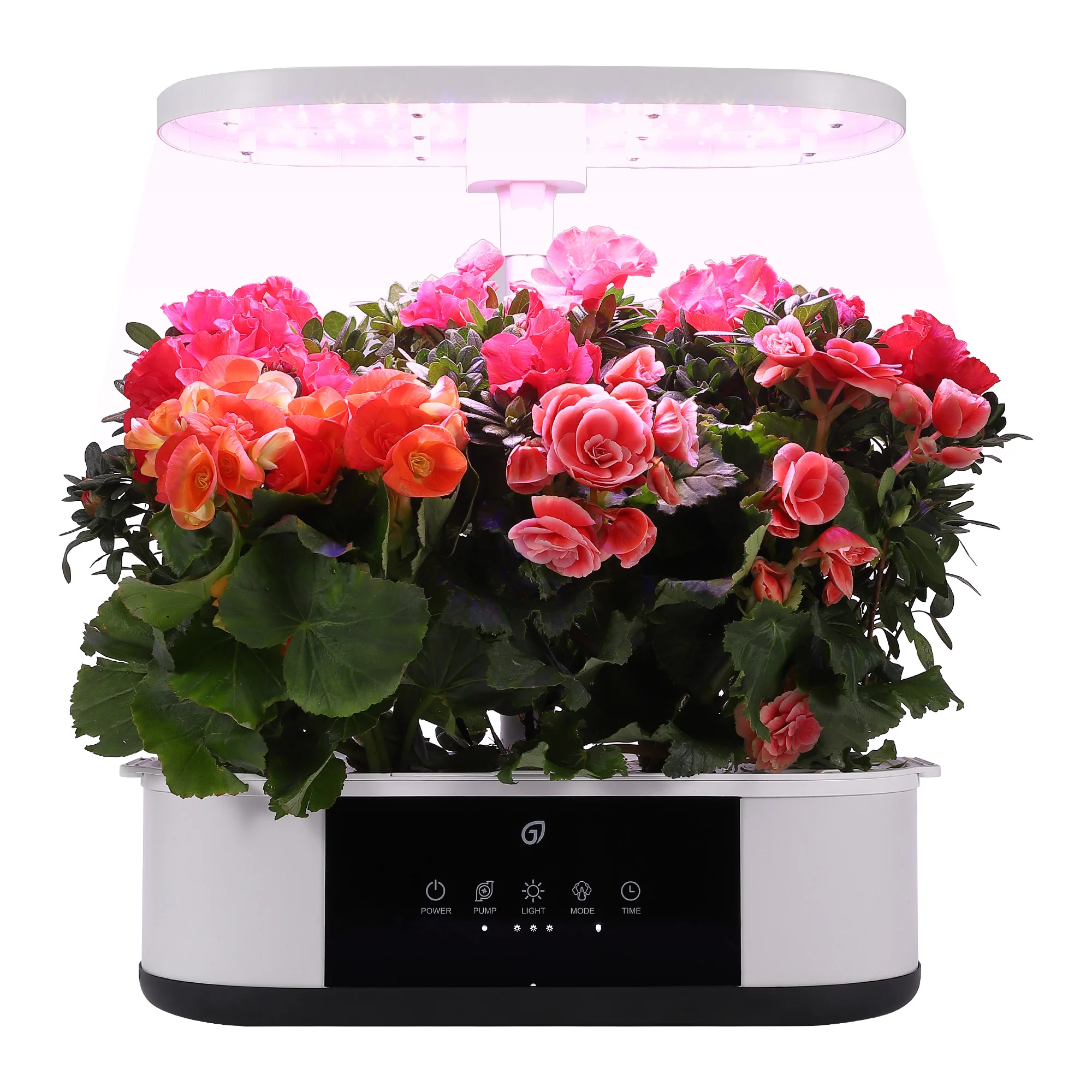 Sistema de cultivo hidropónico, Kit hidropónico con 120 luces de espectro completo de 24W, en 5 colores, temporizador automático para el hogar, 12 cápsulas