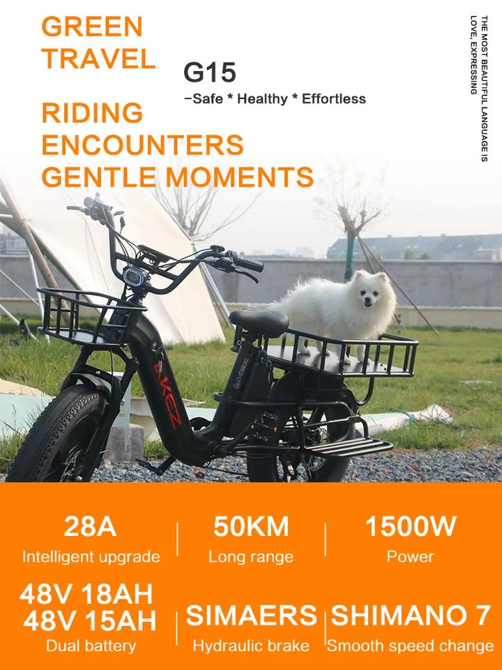 AKEZ G15 electric bicycle 1500W motor 48V 33Ah lithium battery e bike 20inch tire 45km/h road riding electric bike cargo truak image 4