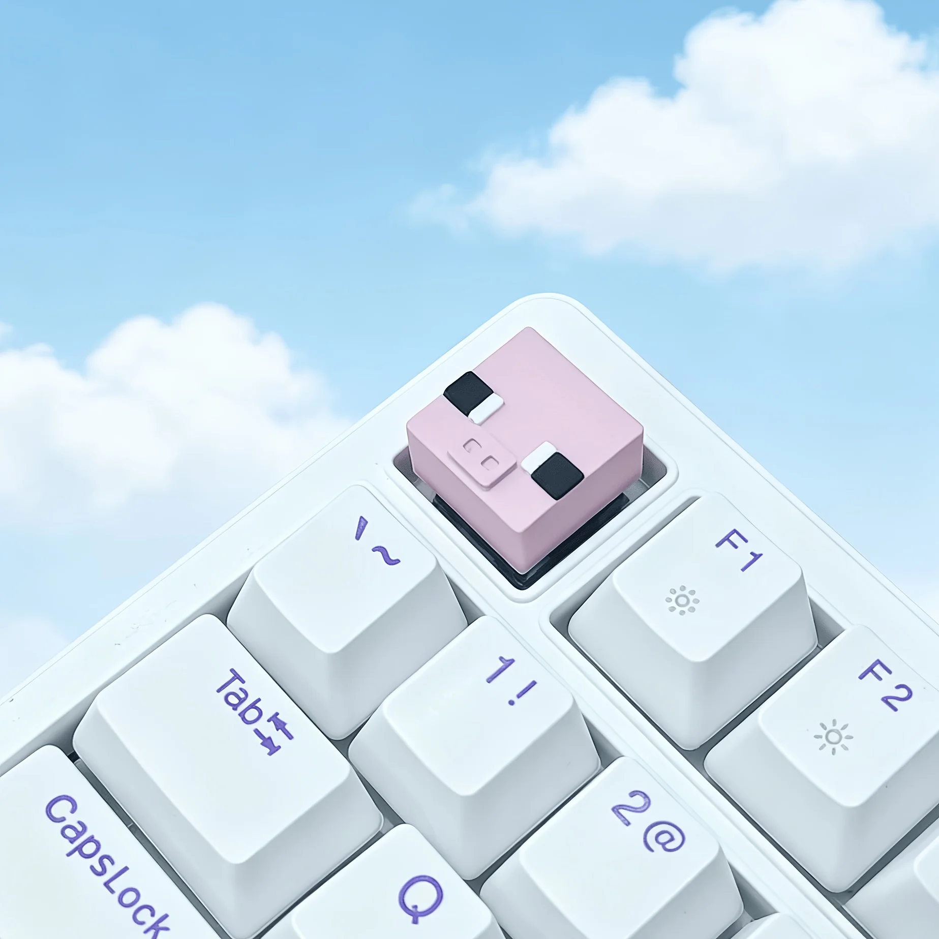 Cute Pixel Pig ESC Keycap Mechanical Keyboard Cute Gaming Accessory Creative Gift for Keyboard Anime Fans  Keycaps
