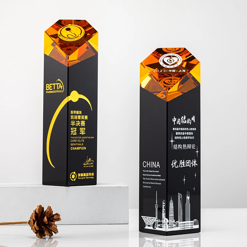 

LvshenGifts Unique Desin Custom Black and Amber Trophy Modern Personalized Award Ideal Corporate Gift for Business Partners