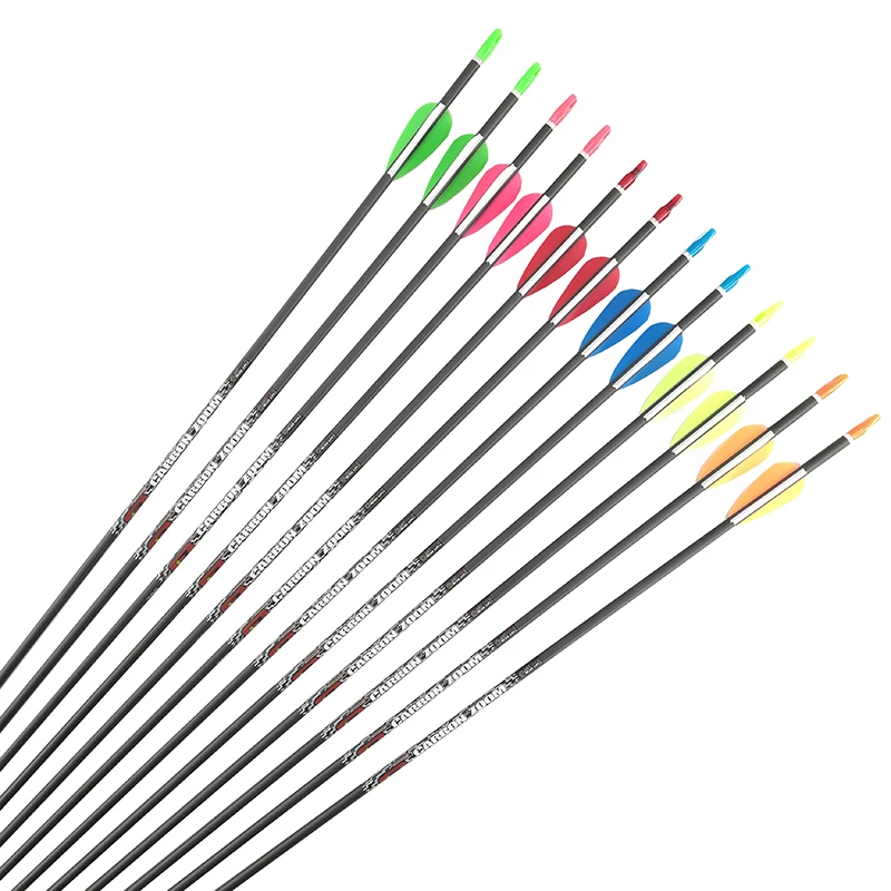 Arrow Shaft Carbon Spine 400 500 600 700 800 900 1000 Plastic Vanes 80 Grain Points For Recurve Bow Archery Shooting 12pcs