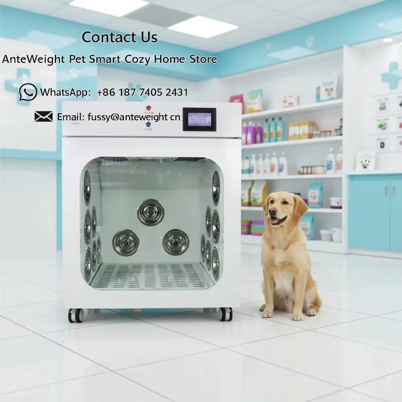 Veterinary Grooming Equipment New Design 3200W Automatic Pet Drying Room for Middle Dog of 20KG