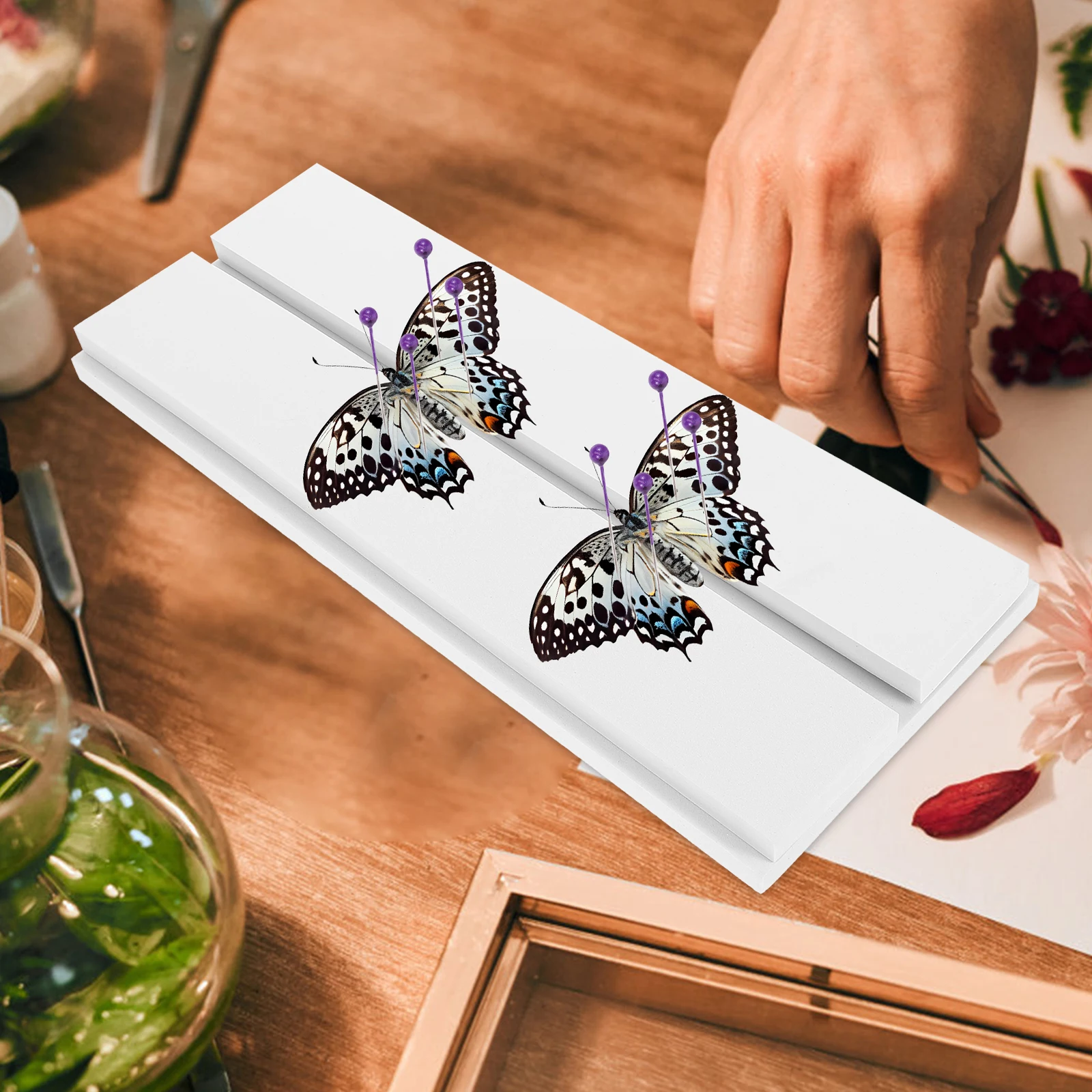 

1pcs Butterfly Mounting Spreading Board Insect Specimen Display Adjustable Spacing Lightweight Plastic Material Sturdy