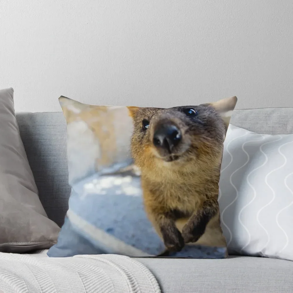 Hello Quokka Throw Pillow Anime luxury throw pillow covers Cushion Cover Set pillow