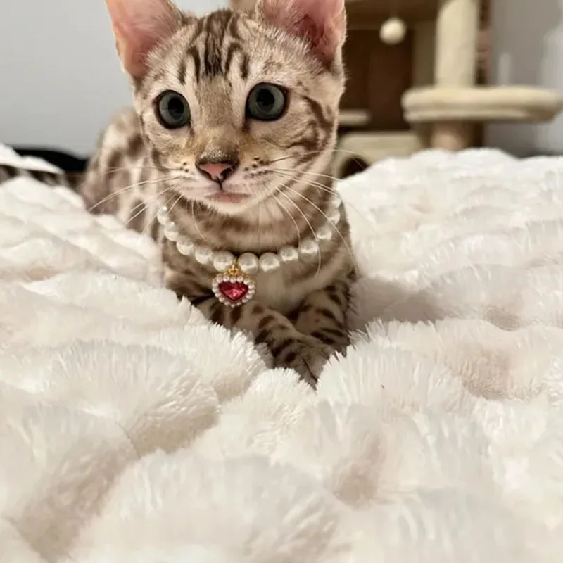 

Cute and Classy Pet Accessories, Handmade Elegant Classy Pearl Pet Collar, Pink Crystal Cat Necklace