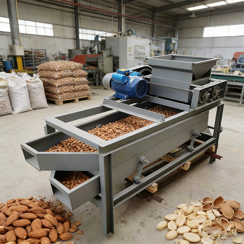 High Efficiency Almond Processing Machine 400kg/h Adjustable Nut Cracker Sheller for Almond Hazelnut and Walnut