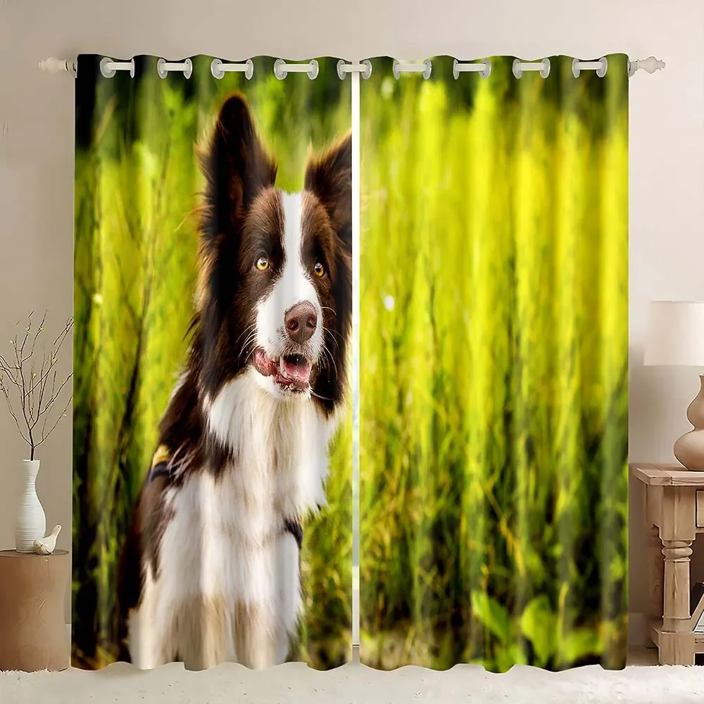 Shepherds Dogs Blackout Curtains for Bedroom,Border Collie And Purple Flower,3D Dog Print Cute Animal Theme Window Curtains