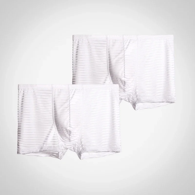 2PCS Youth Thin Transparent Sexy Men's Ice Silk Panties Bottom Underpants Breathable One Piece boxers Boxer Bottom