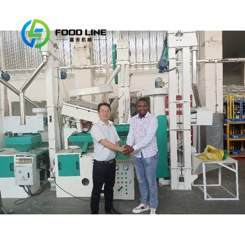 Integrated Rice Milling Complete Processing Machine Multi‑Step Paddy Treatment Unit For Small‑Scale Grain Deep‑Processing