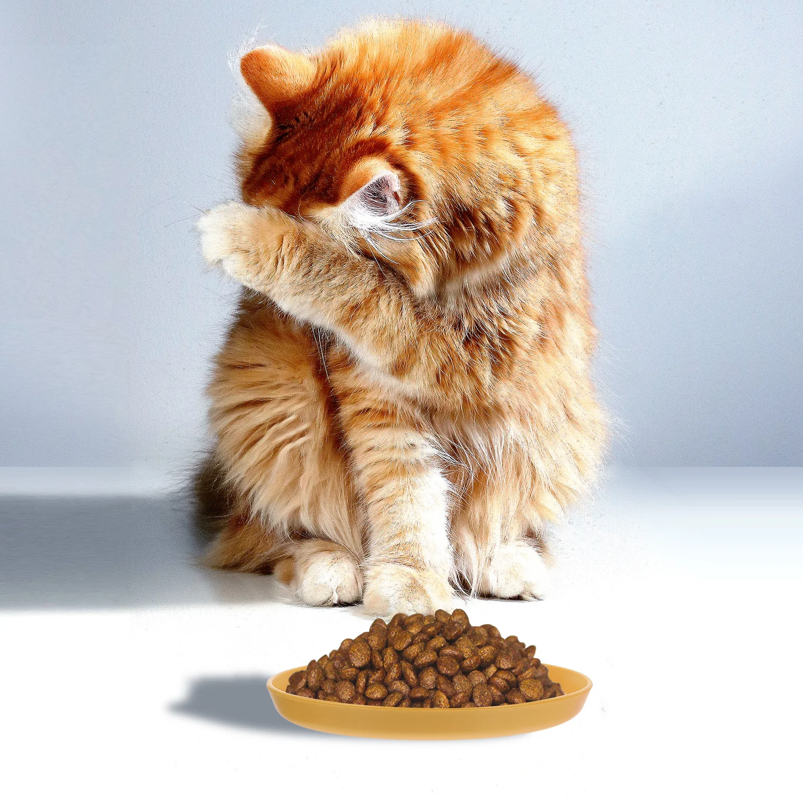 

4Pcs Flat Cat Bowl Round Shallow Pet Feeding Dish for Cats Dogs Cute Food Water Bowl Practical Pet Plate