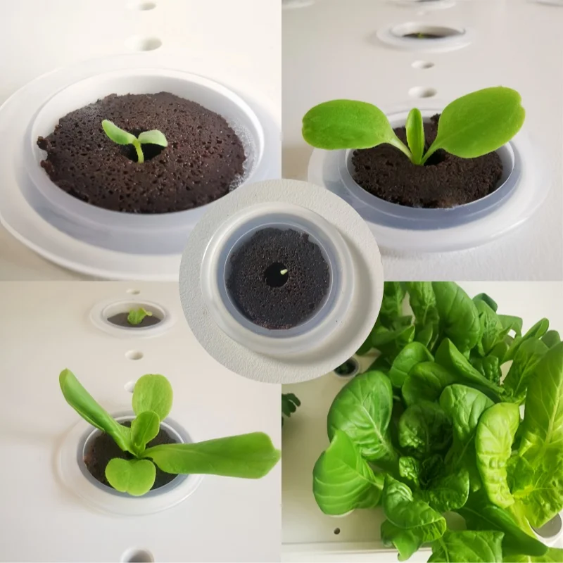 Hydroponic Planting Sponge Cylinder Adapted To 99% Water-based System Plant Growth and Seedling Blocks