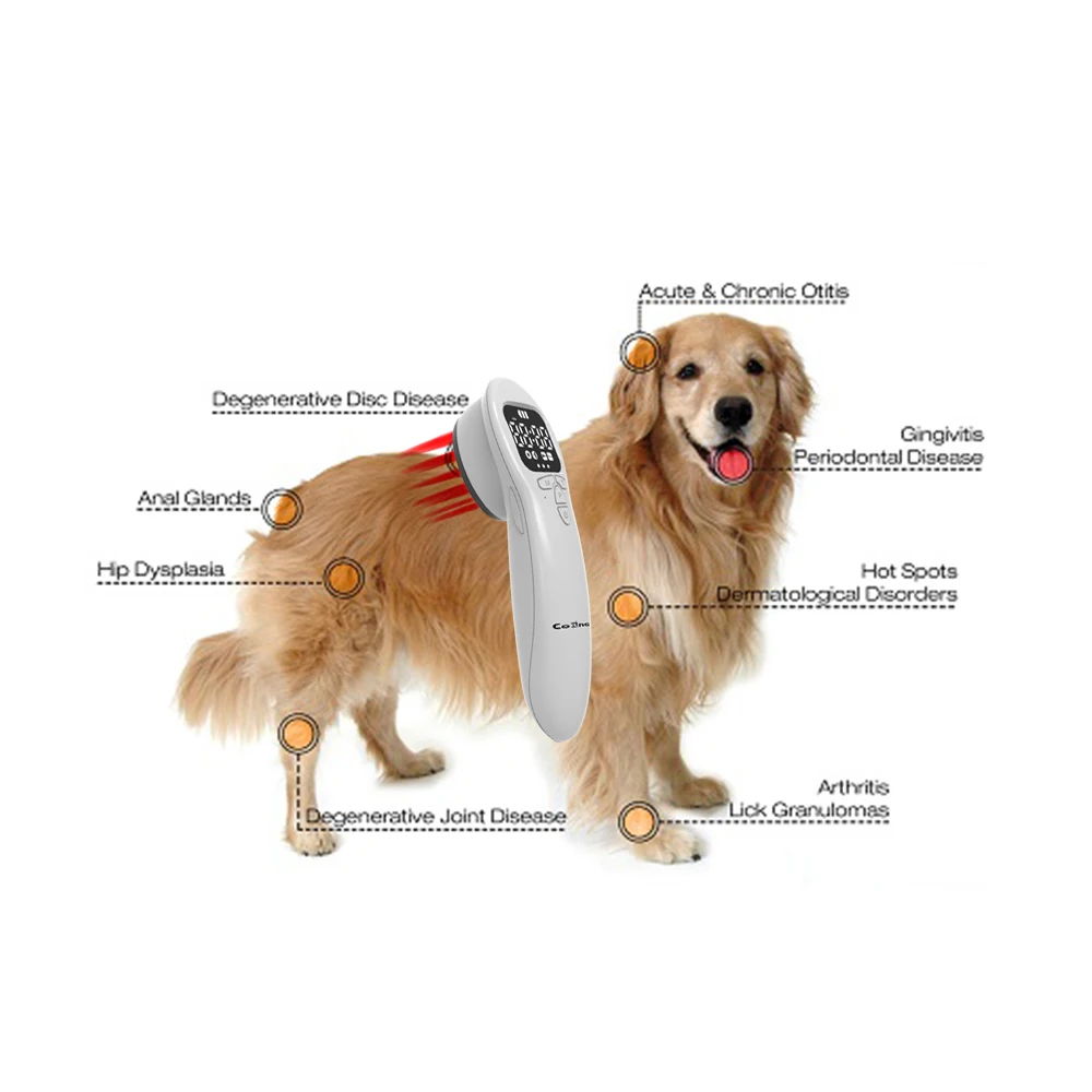 Puppy Hip Dysplasia Prevention Laser - Early Intervention Tech