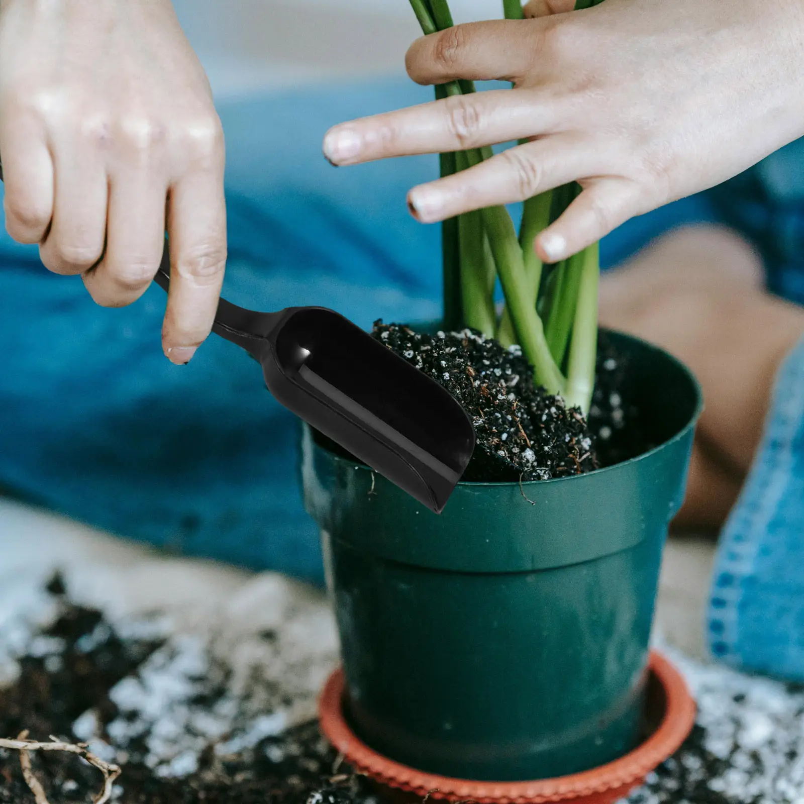 20Pcs Garden Mini P…