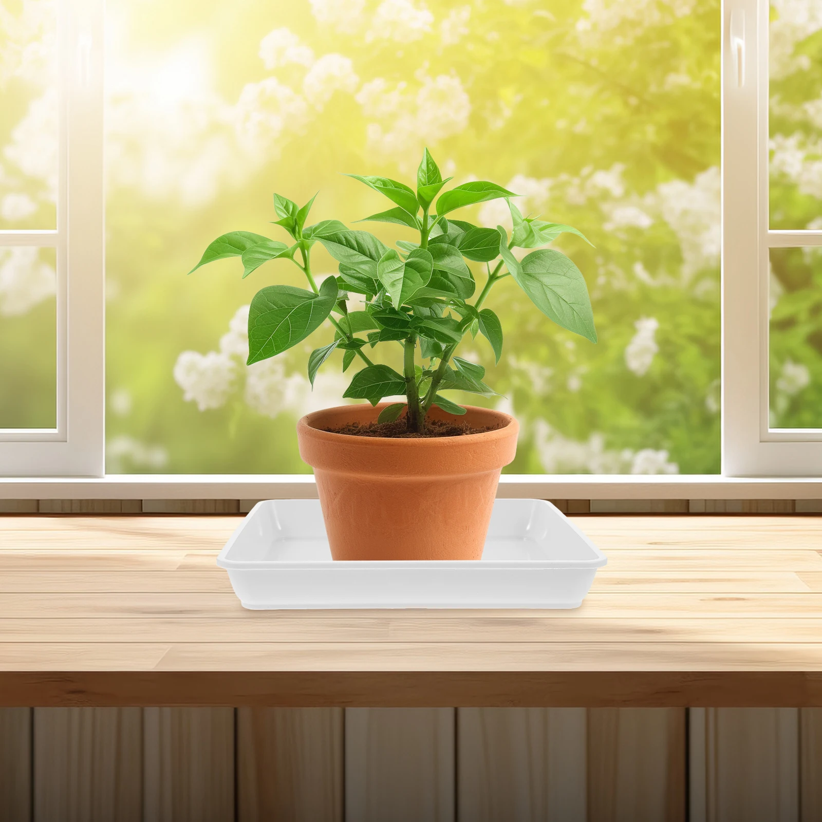 

2Pcs Flower Pots Tray Durable Plastic Square Dishes for Indoor Plants Succulents Bonsai Planters Protect Surfaces