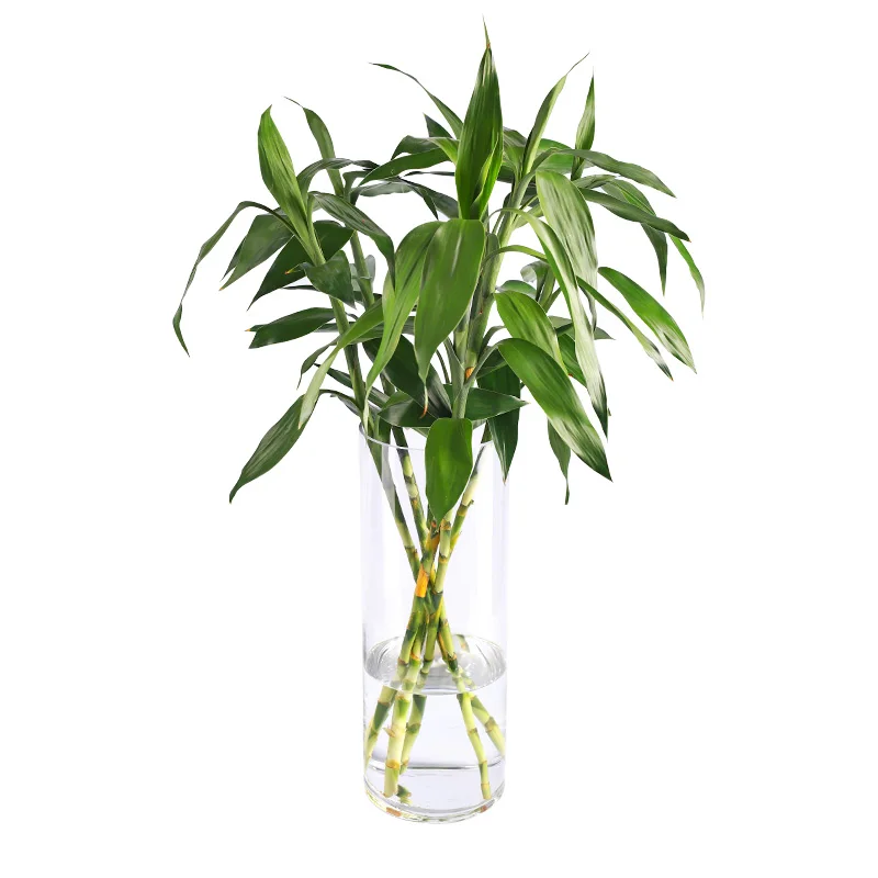 Chique decoração vaso de vidro piso jardim transparente design exclusivo vaso minimalista estética vintage vaso fiori suprimentos internos