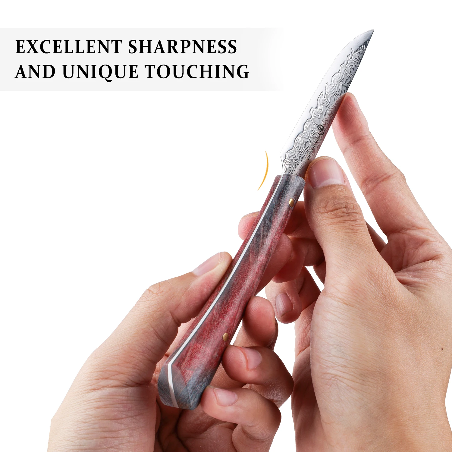 Grandsharp Damascus Kitchen Knife Japanese Damascus Steel Utility Tomato Paring Kitchen Knives Home Cooking Tools Wooden Handle