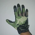 WL