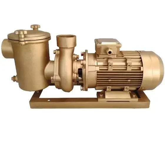 3/5/7.5/10/15/ HP 380V pool circulating water pump for commerical pool Brass swimming pool pump