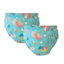 2 Packs Adult Training Pants Waterproof ABDL Diaper Incontinence Protection Nappy Pad Briefs Potty Underwear