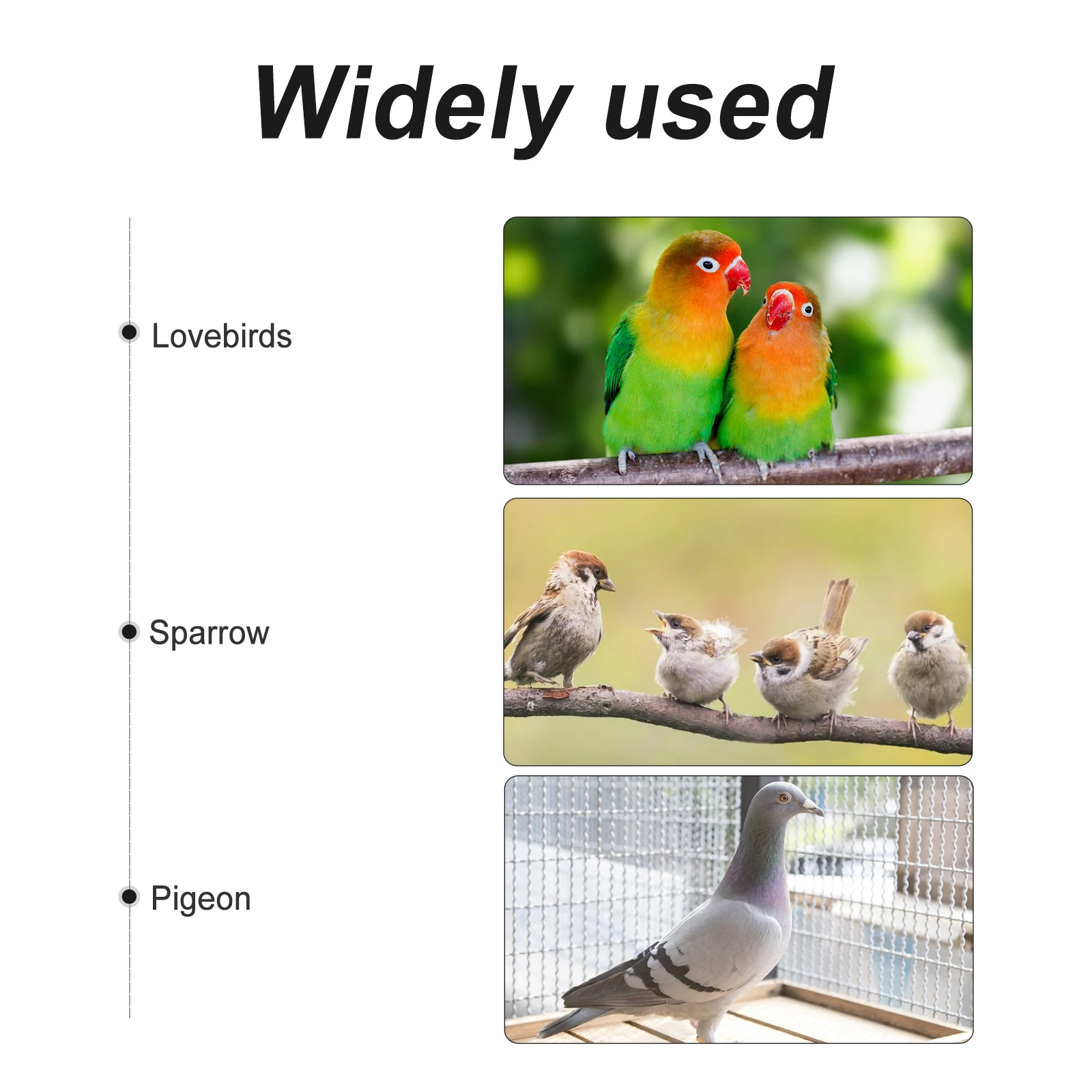 

2 pcs Durable Plastic Parrot Feeder Vegetable Fruit Holder Bird Feeding Rack Easy Install Pet Food Container Long Time Use Wear