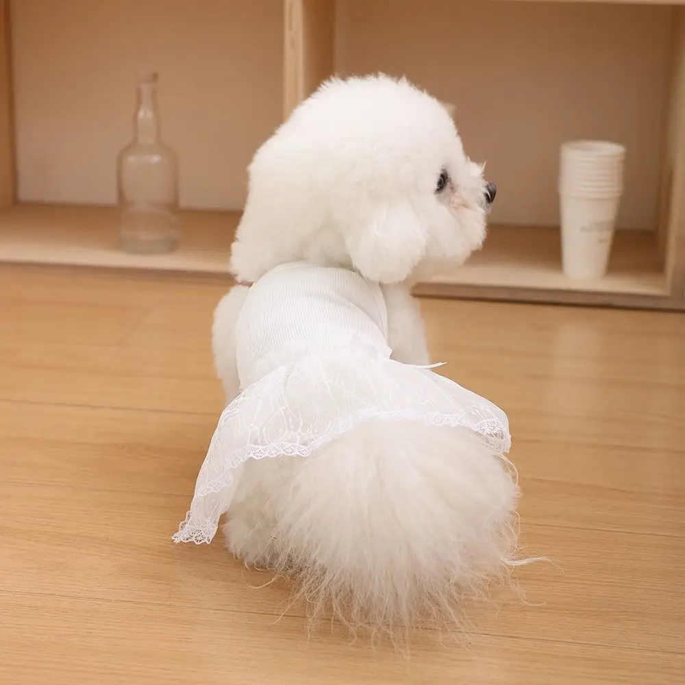 

Comfortable Lace Pet Princess Dresses Fashion Soft Dog Vest Breathable Thin Design Pet Summer Clothes for Kittens Puppy